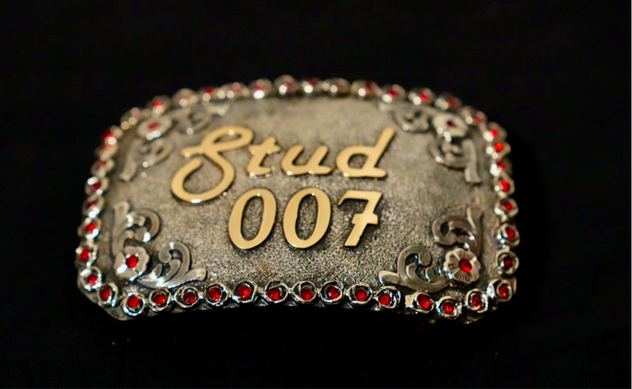 Stud007 Red Ruby Buckle